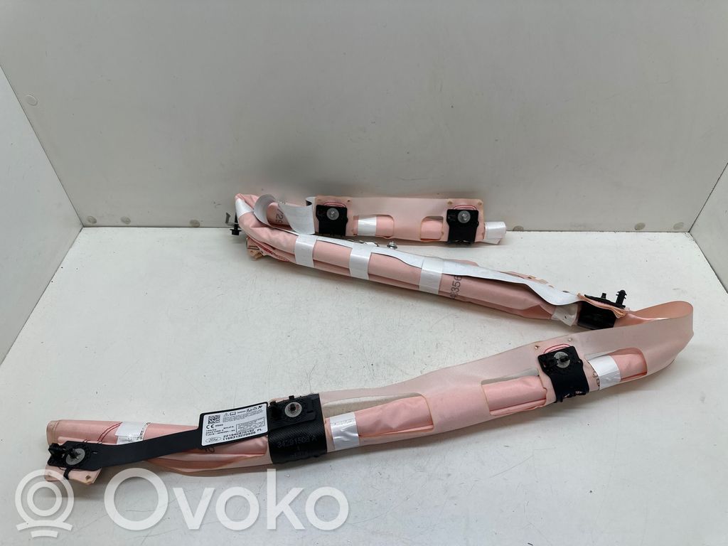Ford Focus Airbag del techo 