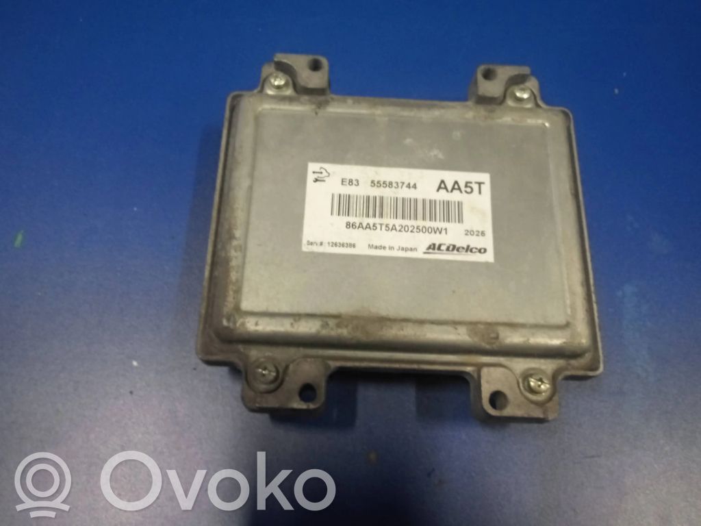 Engine control unit/module   12636386,55583744