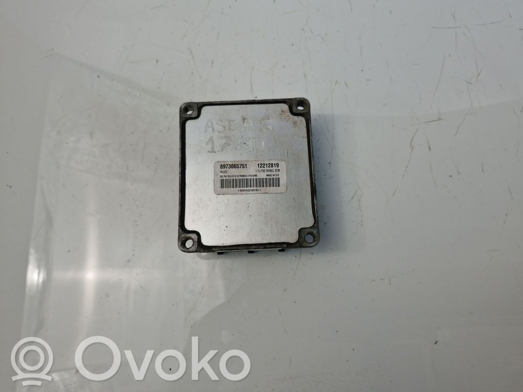 Engine control unit/module   12212819,8973065751
