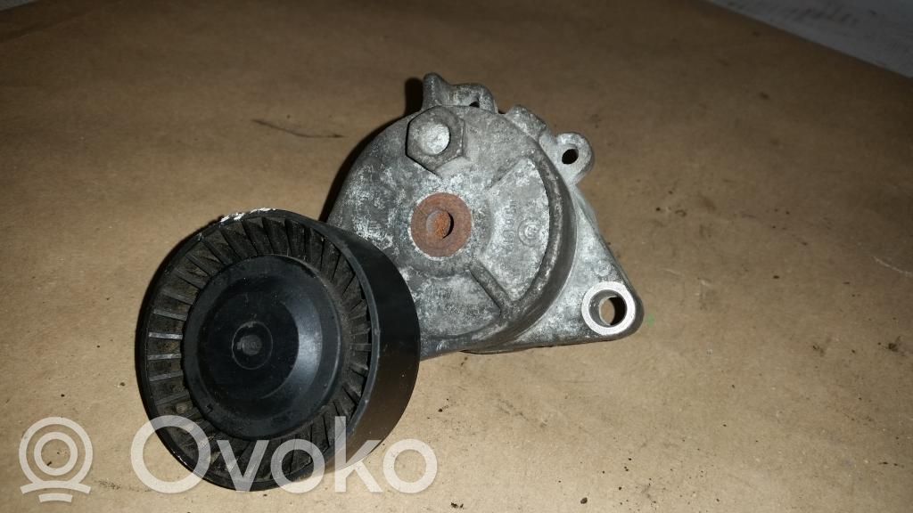 BMW 5 E39 Diržo įtempėjas 