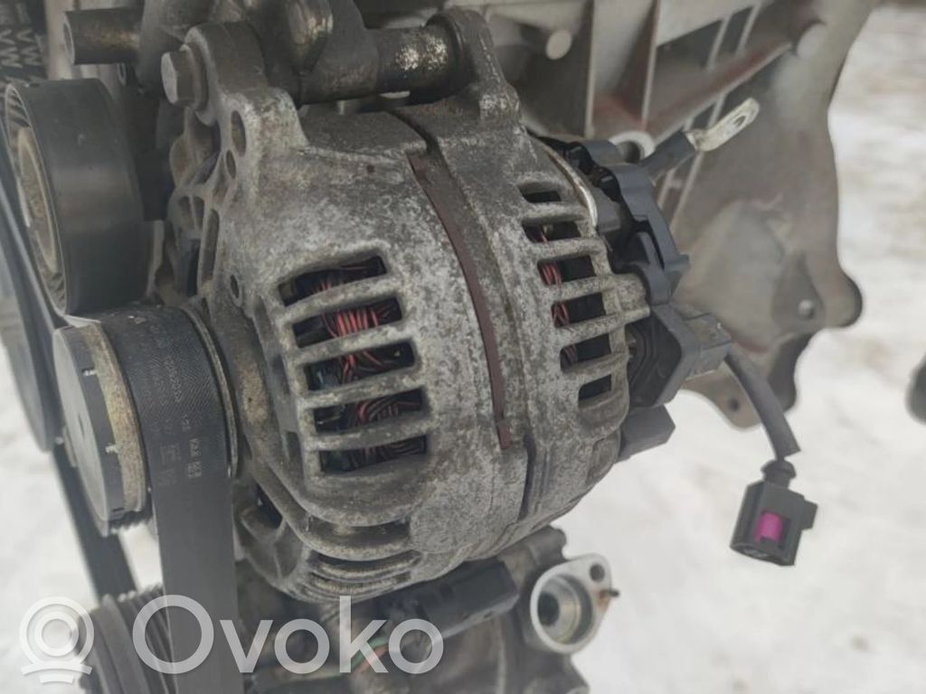 Volkswagen Polo V 6R Generatorius 