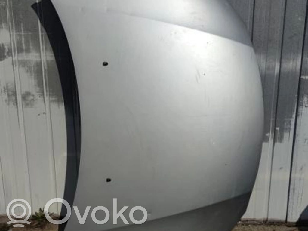 Mitsubishi Outlander Dzinēja pārsegs (vāks) 