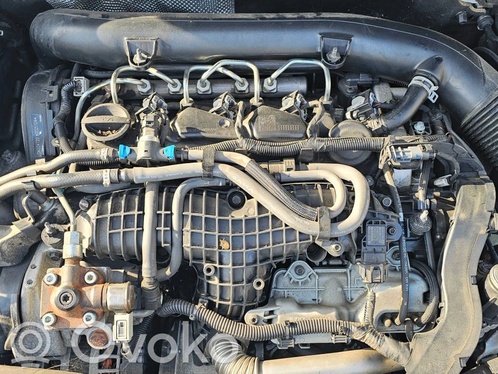 Engine swap   D4204T20