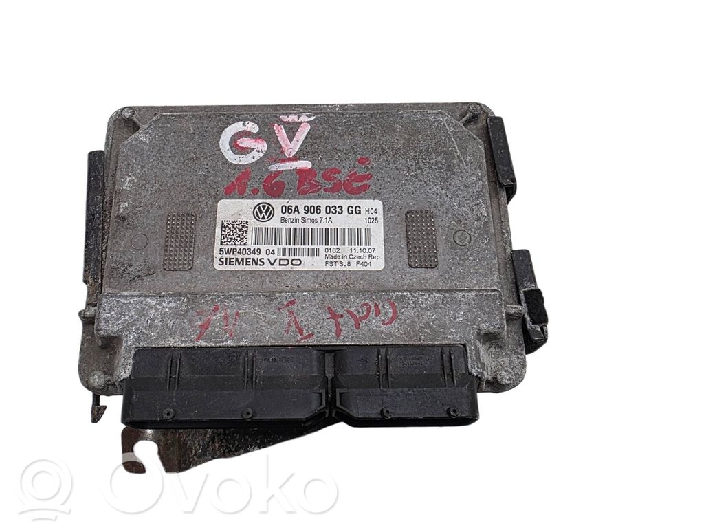 Engine control unit/module   06A906033GG