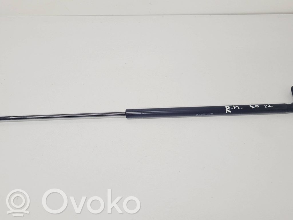 Ligier JS 50 Amortizatorius galinio dangčio 