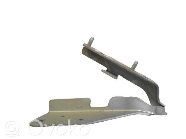 Engine bonnet/hood hinges   791269,4005019,791269