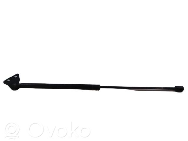 Tailgate/trunk strut/damper   1684275,100005110,1539291,1684275,4M51N406A10AC,4M51N406A10AD,5993542,904509U00A,904509U00C