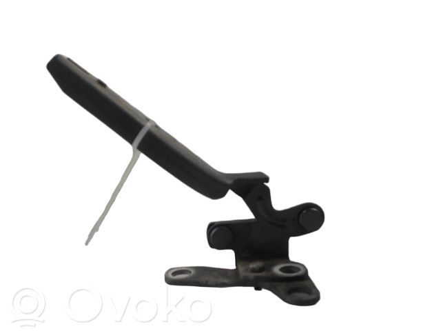 Citroen C5 Engine bonnet/hood hinges 