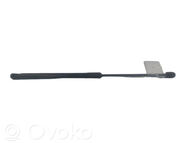 Citroen DS4 Tailgate/trunk strut/damper 