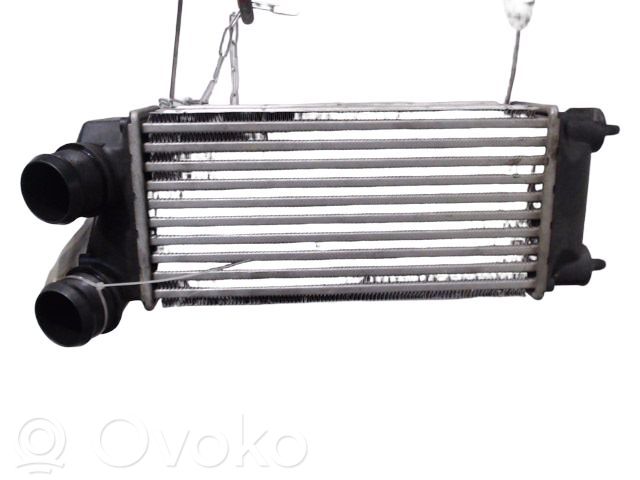 Interkūlerio radiatorius   9800291280,0011023652,0090180009,0090180011,0384F6,0384G4,0384L9,0384N9,067008N,09014705,105528,2066557,30281,807M39A,818291,9636635380,96514,9684212480,9800291280,WG1794060