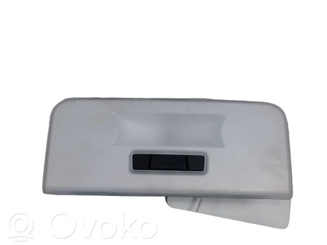 Etuistuimen valo   61316951252,61316951252