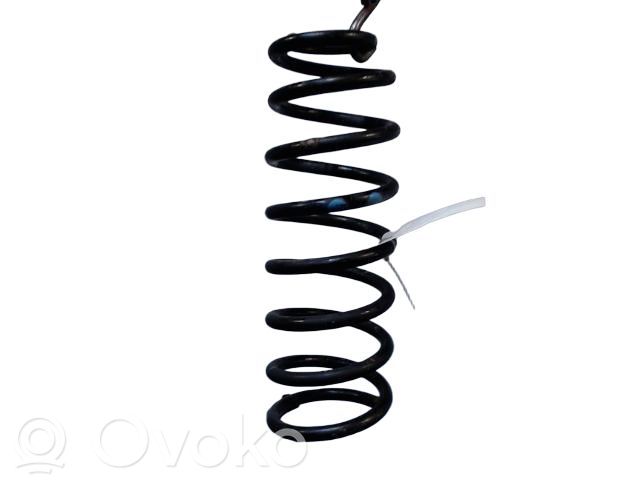 Peugeot Expert Rear coil spring 