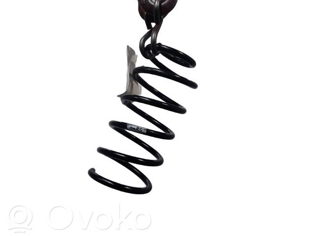 Rear coil spring   13433131,13433131,994873