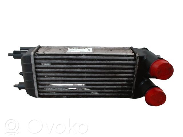 Interkūlerio radiatorius   0384P5,0384P5,30548,9684946380