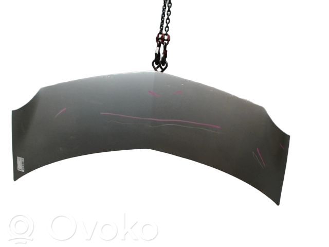 Renault Modus Engine bonnet/hood 