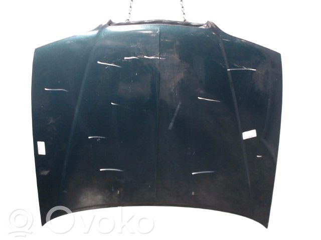 Engine bonnet/hood