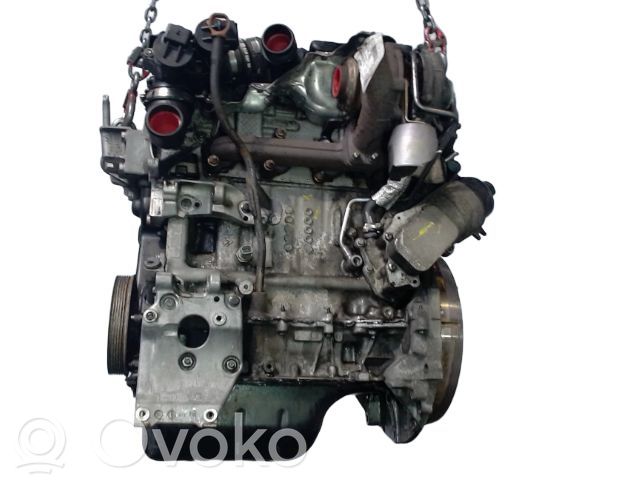 Variklis   36050299,36050299,D4164T
