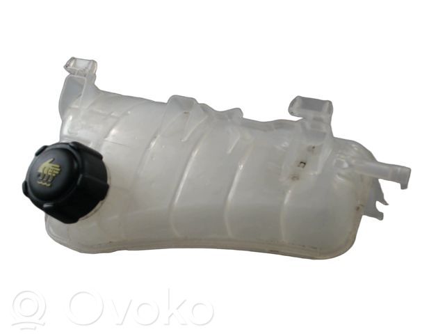 Renault Kangoo III Zbiornik wyrównawczy chłodziwa 