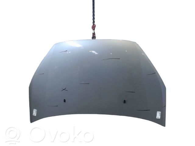 Capó/tapa del motor   1569486,01737100,05031567,1417462,1485000,1485592,1505774,1569486,1887660,FD7303100