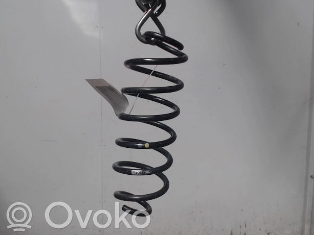 Ford Focus Feder hinten 
