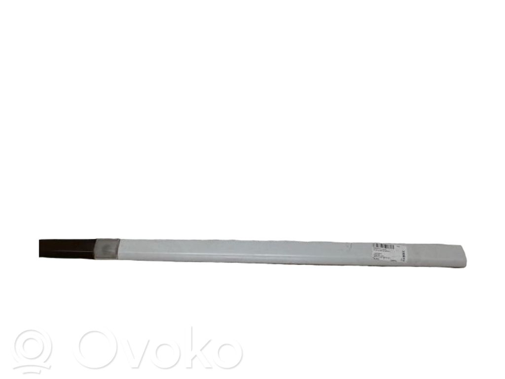 Renault Clio III Listwa drzwi przednich