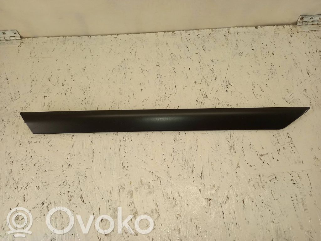 BMW 3 E46 Rear door trim (molding) 
