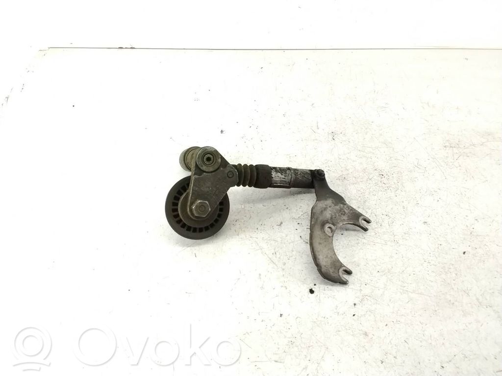 Volkswagen PASSAT B5.5 Întinzător curea generator/alternator 