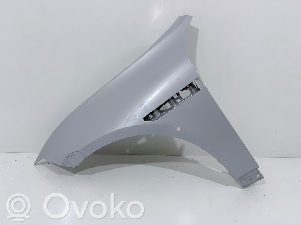 Polestar 4 Guardabarro 