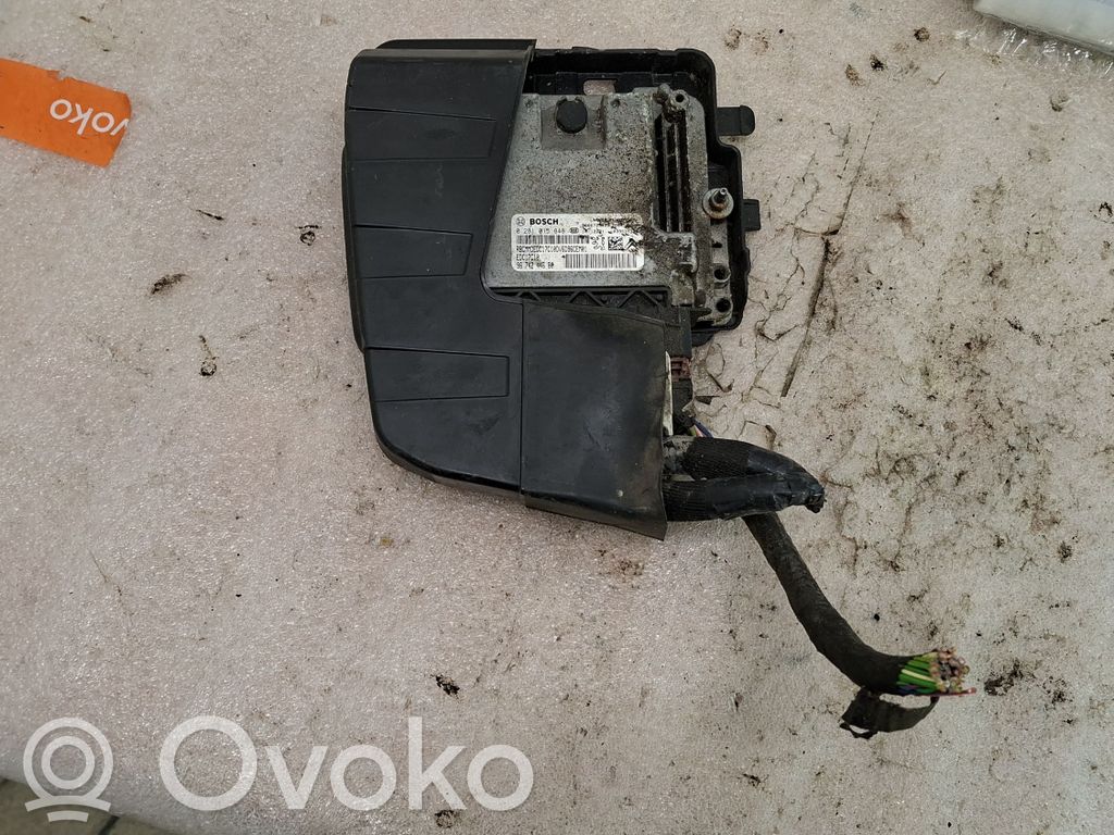 Engine control unit/module   9674244680,0281015848