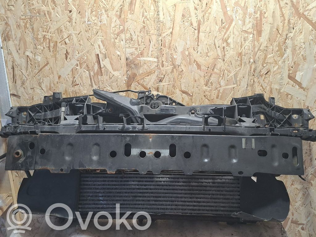 Ford C-MAX I Radiatoru panelis 