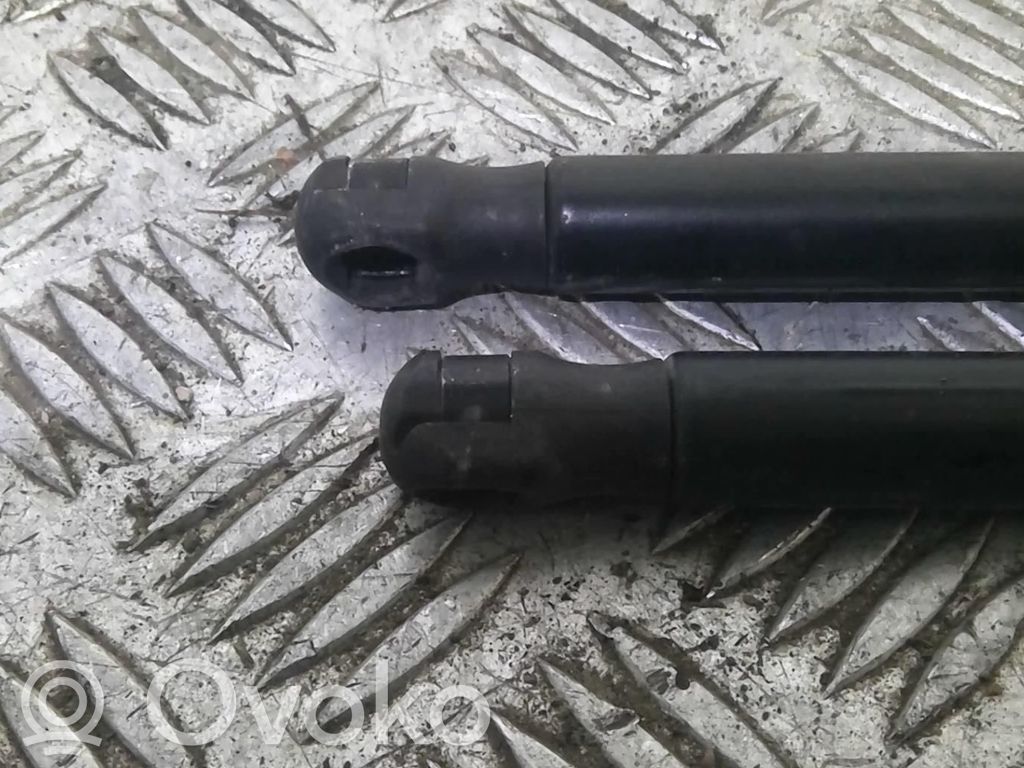 Ford C-MAX I Ammortizzatore portellone posteriore/bagagliaio 