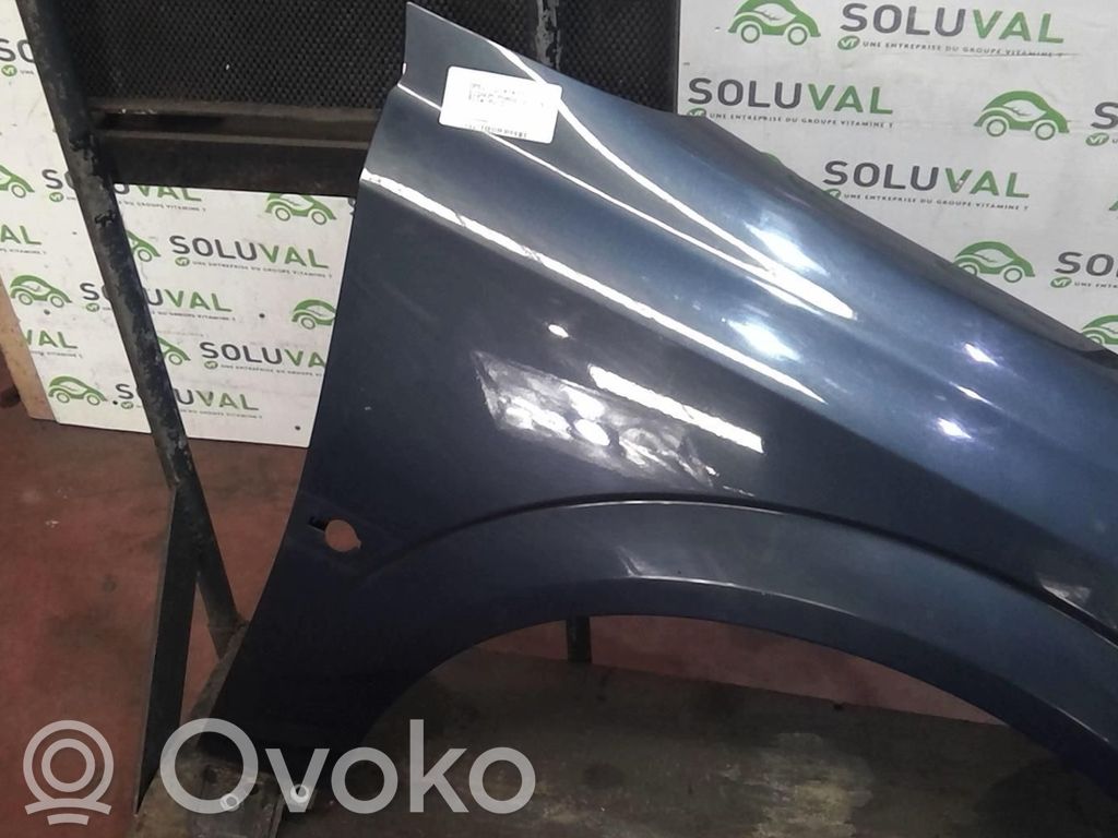Opel Signum Fender 