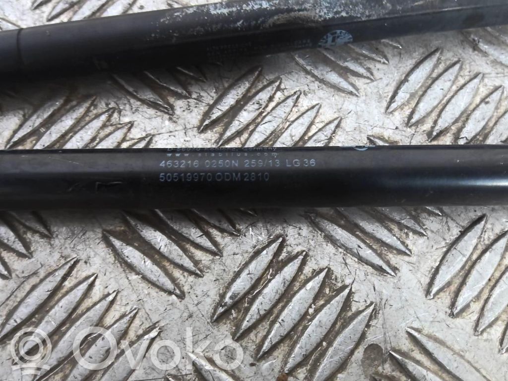 Alfa Romeo Giulietta Ammortizzatore portellone anteriore/cofano