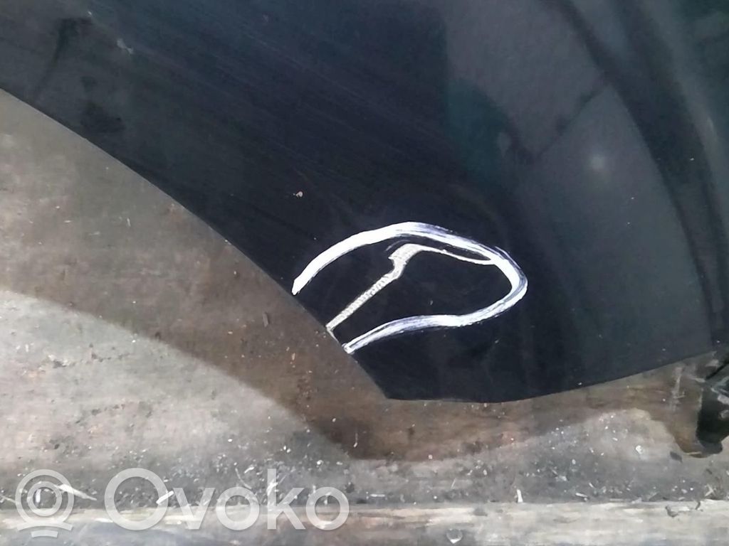 KIA Rio Sparnas 