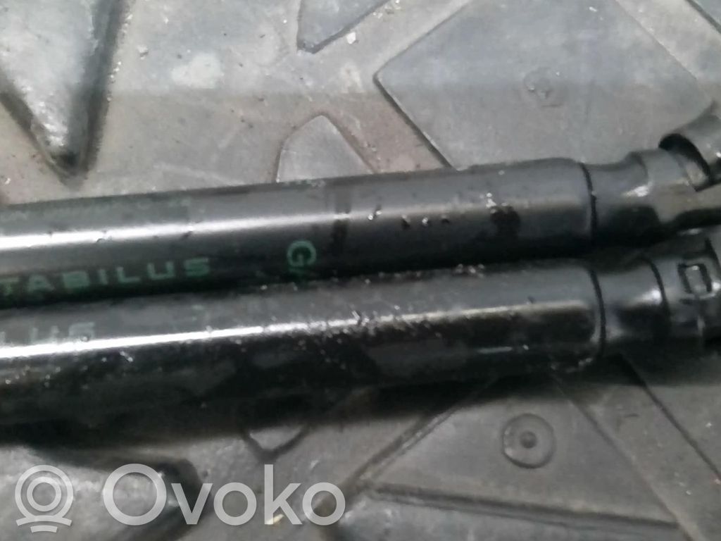 Tailgate/trunk strut/damper   55360915AA