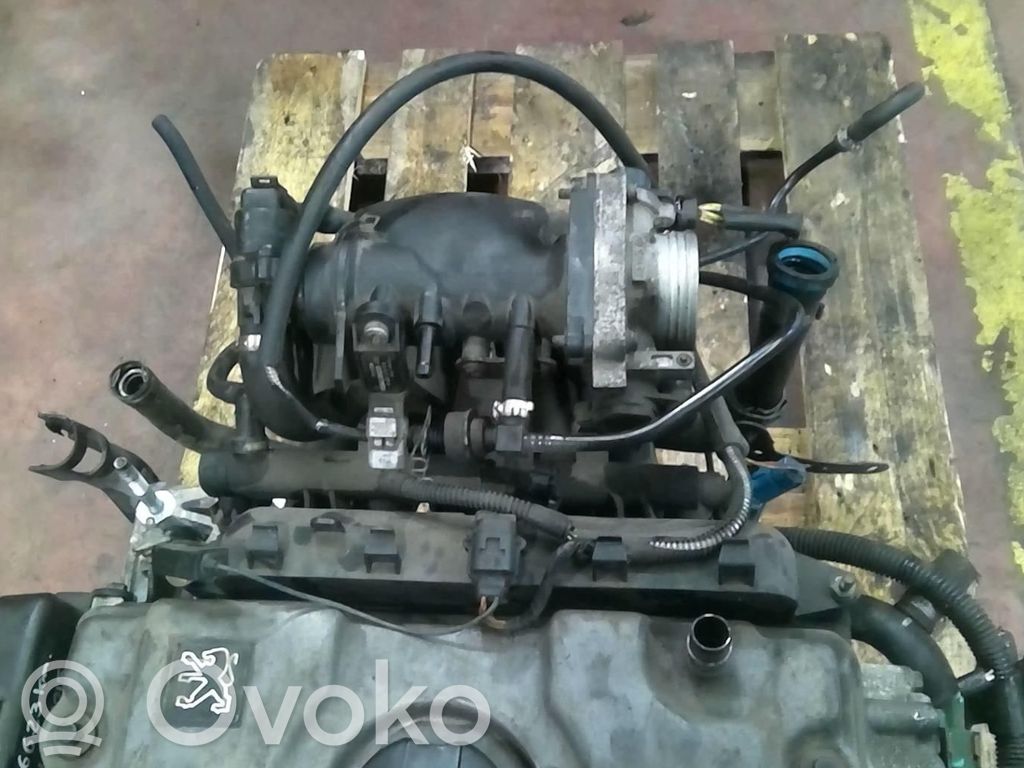 Variklis   01351S