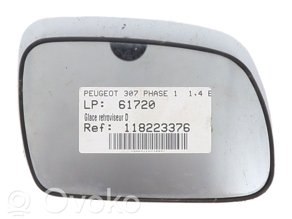 Peugeot 307 Elektryczne lusterko boczne drzwi przednich 