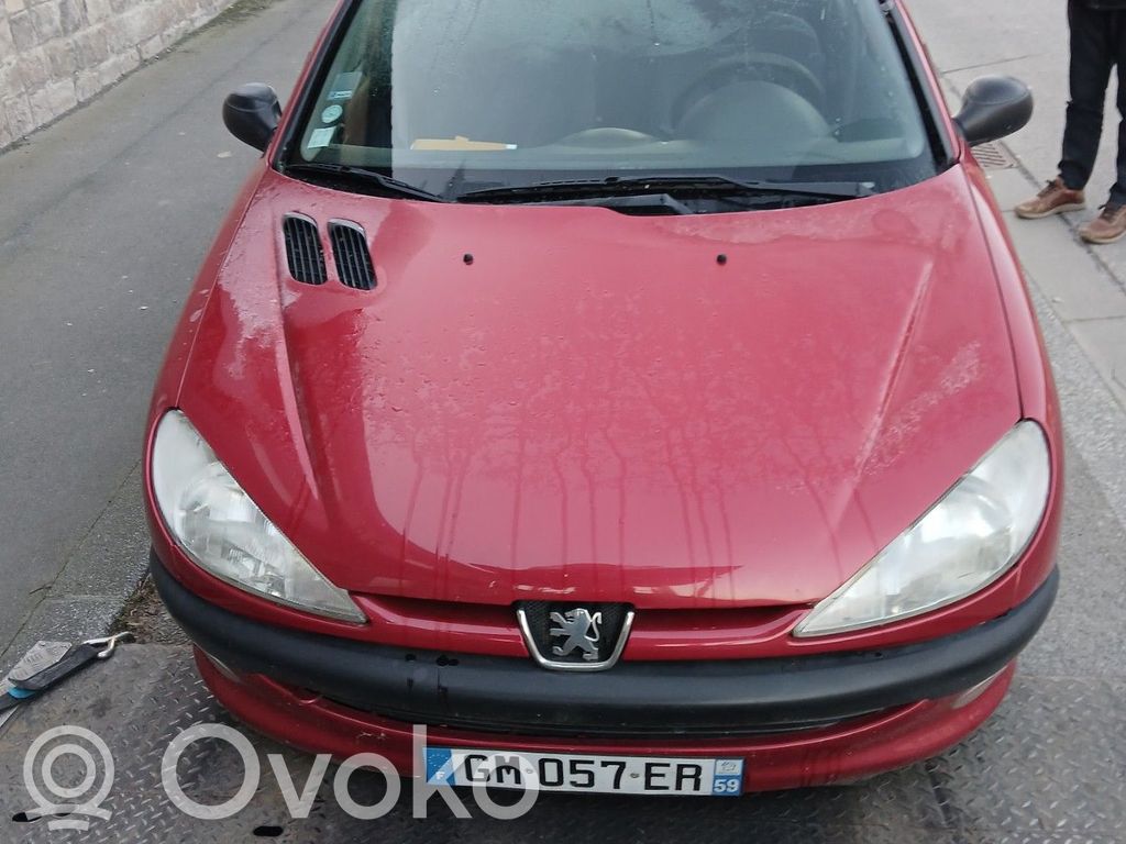 Peugeot 206 Serratura portiera anteriore 