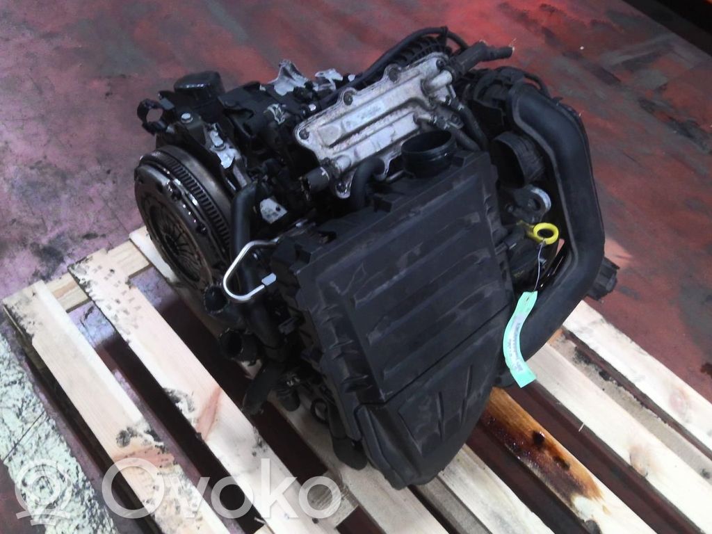Volkswagen Golf VII Motore 