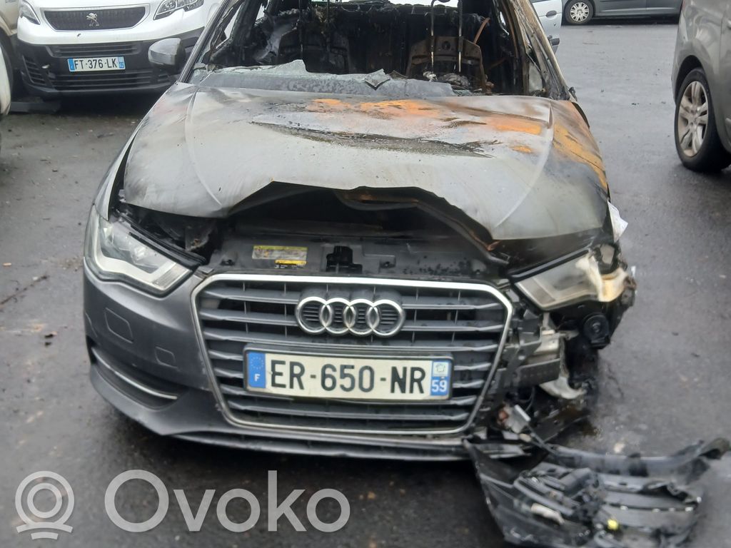 Audi A3 S3 8V Elektryczne lusterko boczne drzwi przednich 