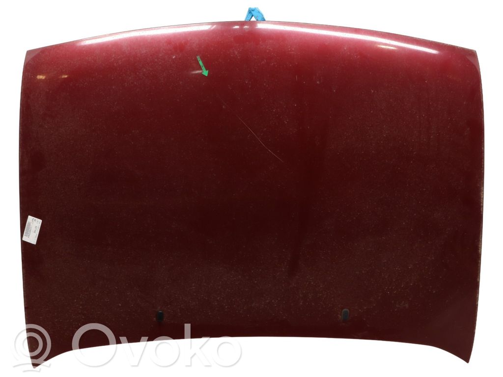 Vano motore/cofano   1014869
