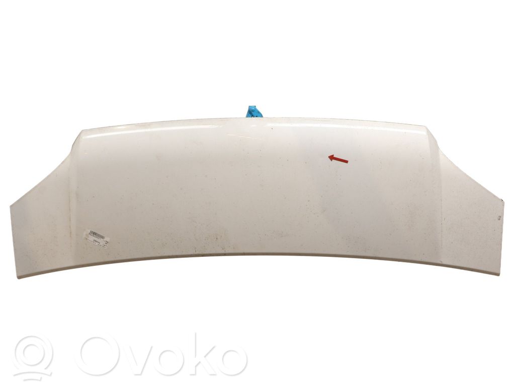 Dzinēja pārsegs (vāks)   NT