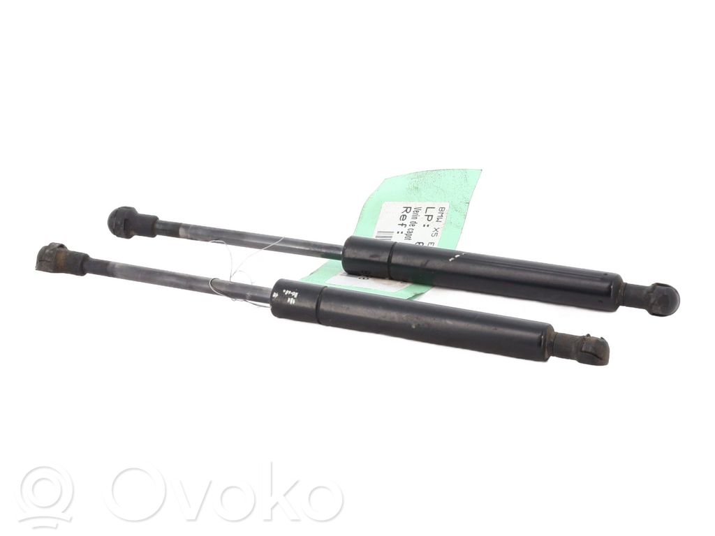BMW X5 E53 Ammortizzatore portellone anteriore/cofano