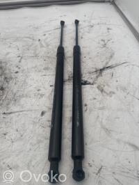 Renault Grand Modus Amortizor hayon 
