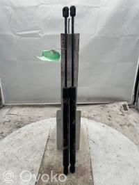 Amortiguador/puntal del maletero/compartimento de carga   00008731R6