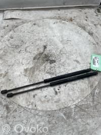 Tailgate/trunk strut/damper   1321021