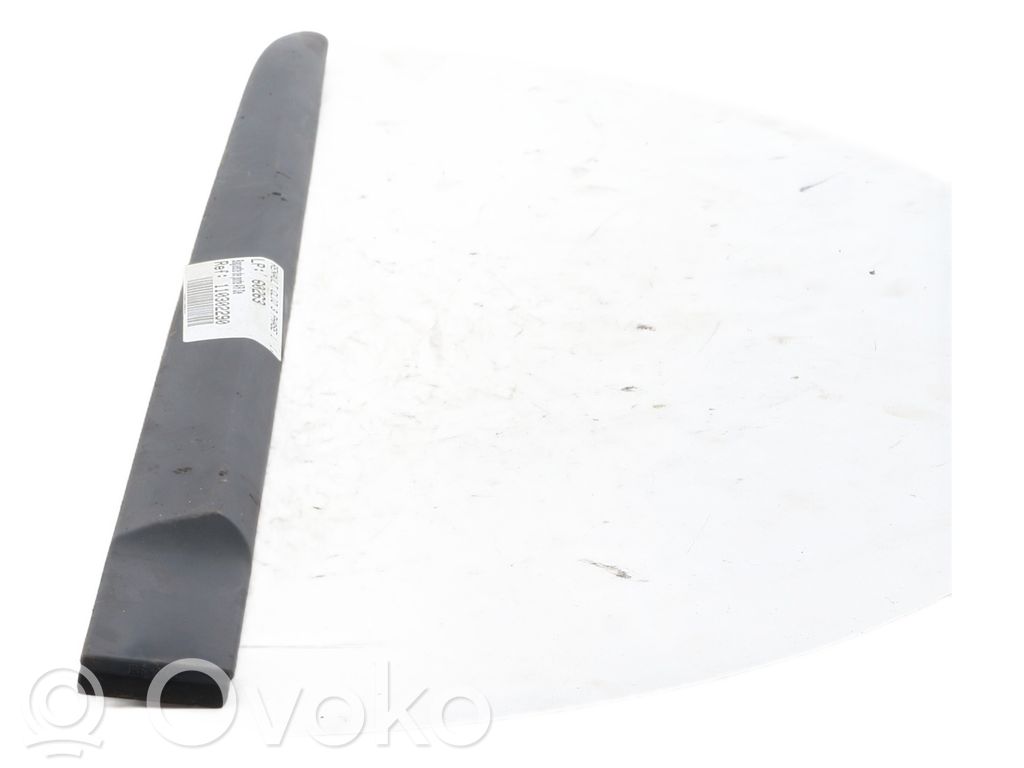 Renault Clio III Rear door trim (molding) 