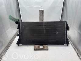 Seat Ibiza IV (6J,6P) Aušinimo skysčio radiatorius 