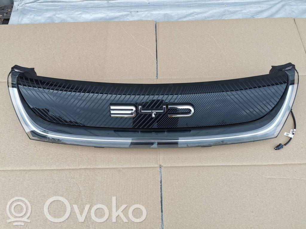 Front bumper upper radiator grill   EM2E4102300A