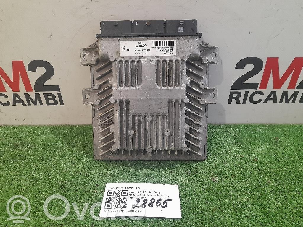Jaguar XF X250 Injection control unit/module 